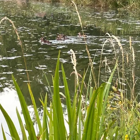 La Maison D'elena * Thiviers